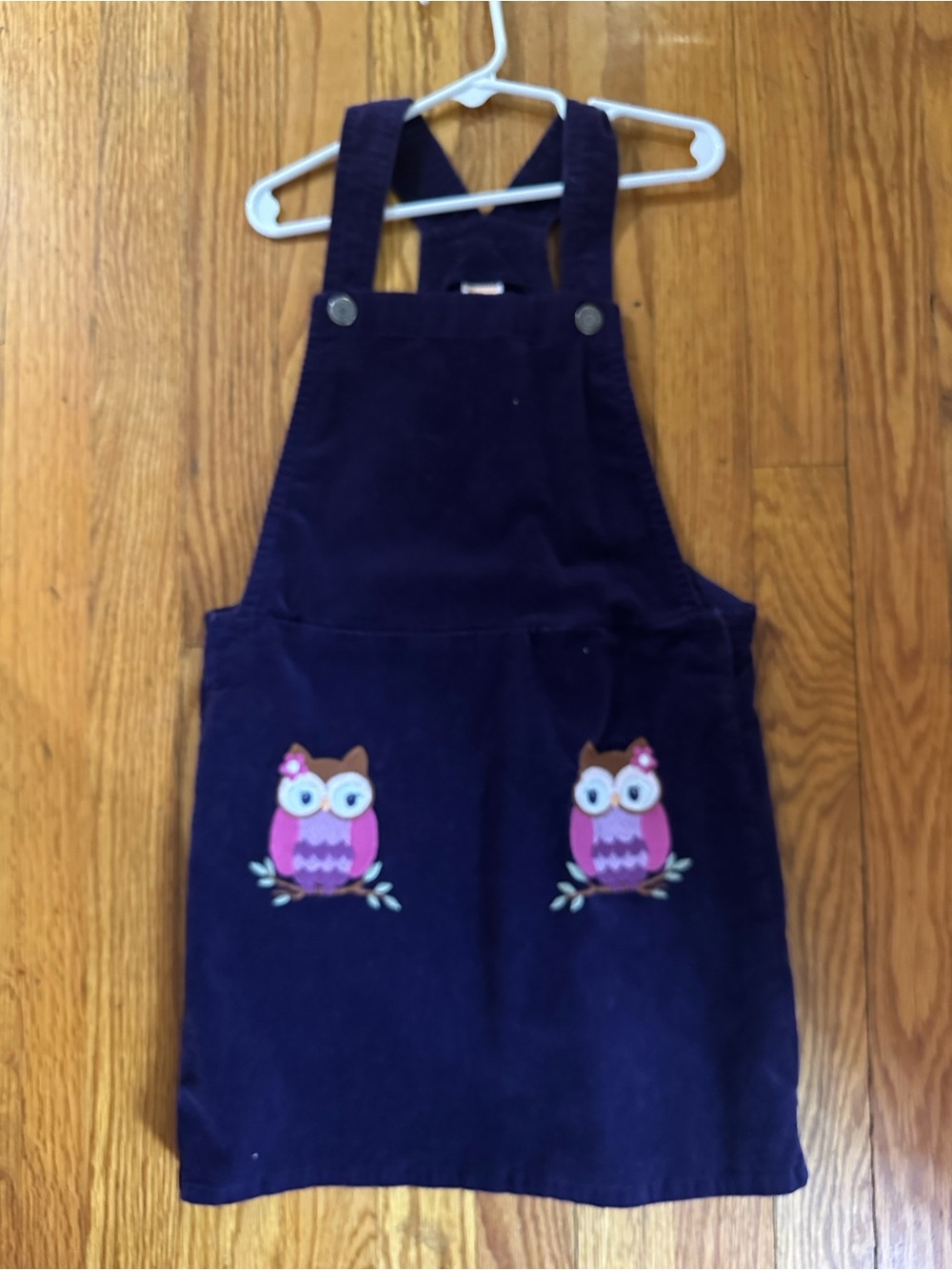 Gymboree dark purple Corduroy Overall Dress with Pink Owl Pockets